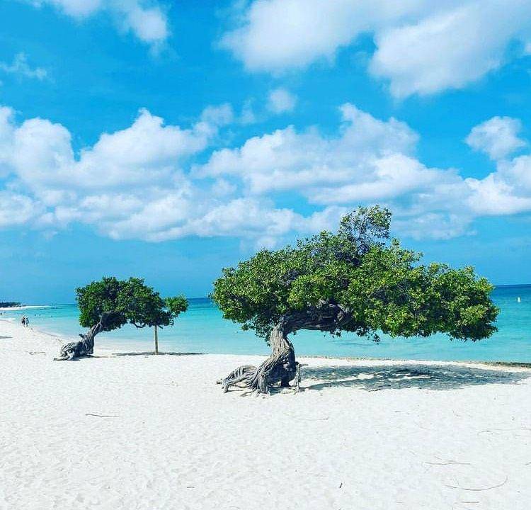 Eagle beach (instagram.com/lin_loves_2_travell)