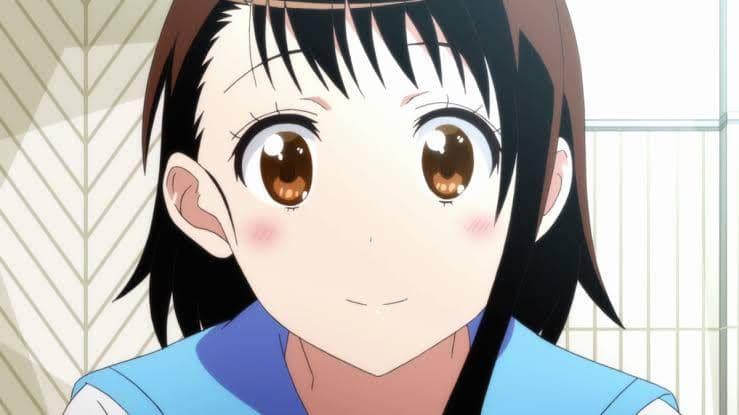 Kosaki Onodera (dok. Shaft/Nisekoi)