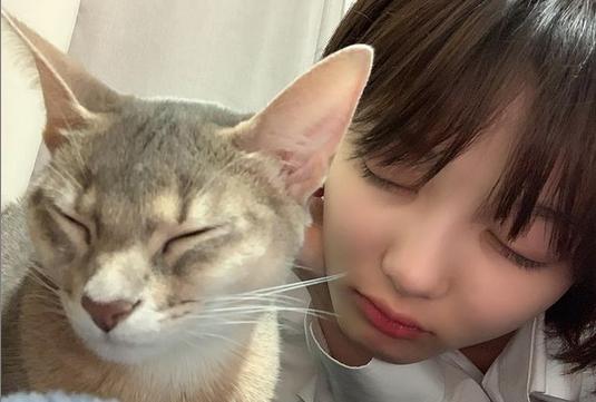 9 Potret Selebriti Korea bersama Kucing Kesayangan, Ada Lisa Blackpink