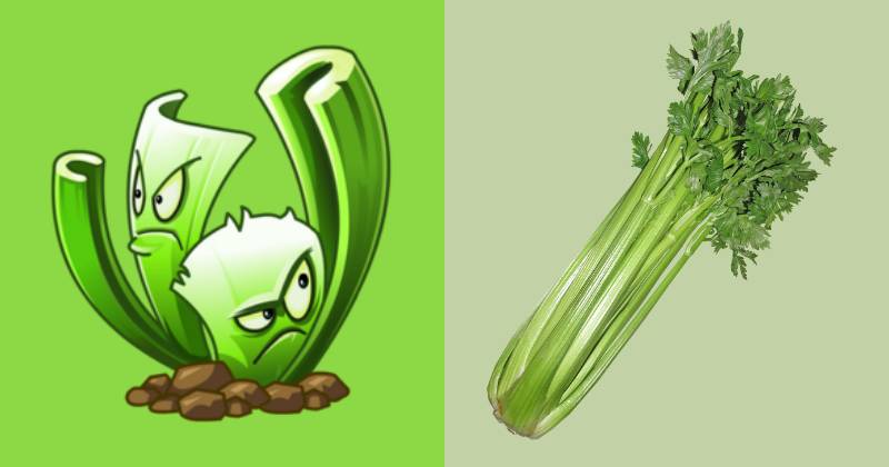 karakter Celery Stalker dan ilustrasi seledri (dok. PopCap Games/Plants vs. Zombies 2 | pixabay.com/Buntysmum)