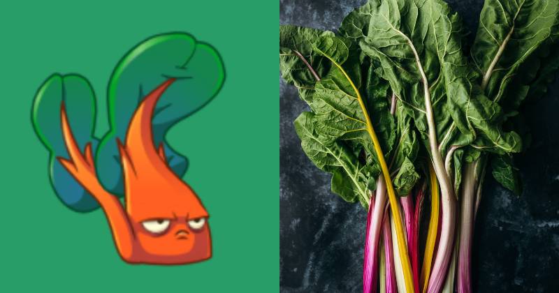 karakter Chard Guard dan ilustrasi daun Swiss Chard (dok. PopCap Games/Plants vs. Zombies 2 | unsplash.com/Heather Barnes)