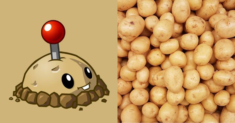 karakter Potato Mine dan ilustrasi kentang (dok. PopCap Games/Plants vs. Zombies 2 | unsplash.com/Rodrigo dos Reis)