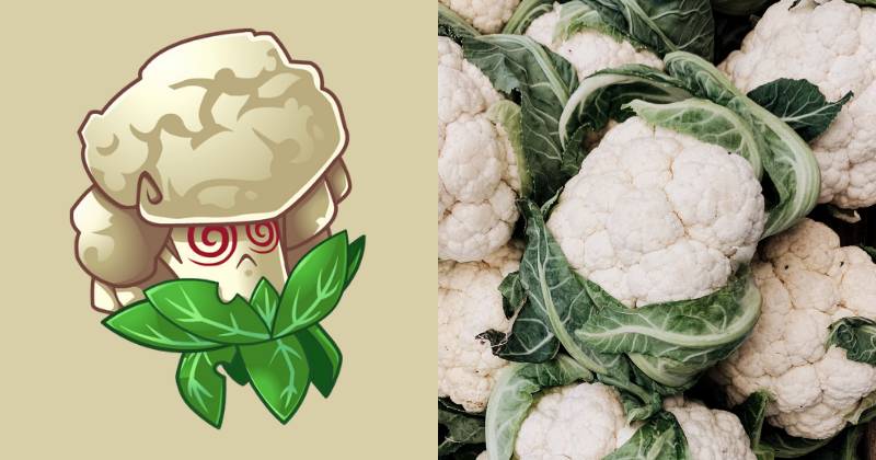 karakter Caulipower dan ilustrasi bunga kol (dok. PopCap Games/Plants vs. Zombies 2 | unsplash.com/Irene Kredenets)