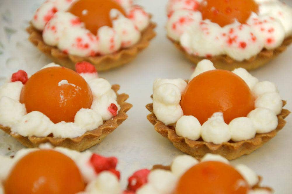 ilustrasi gooseberry tartlets (pixabay.com/VIVIANE MONCONDUIT)