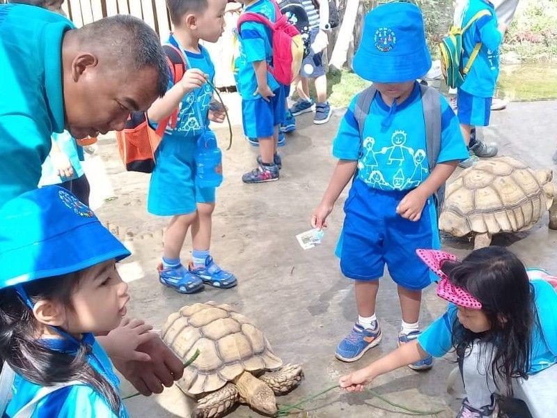 Mini Zoo Jogja Exotarium (jogjaexotarium.com)