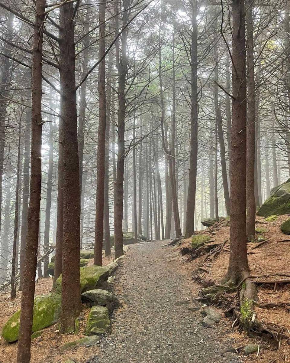 Appalachian (instagram.com/thedetoureeffect)