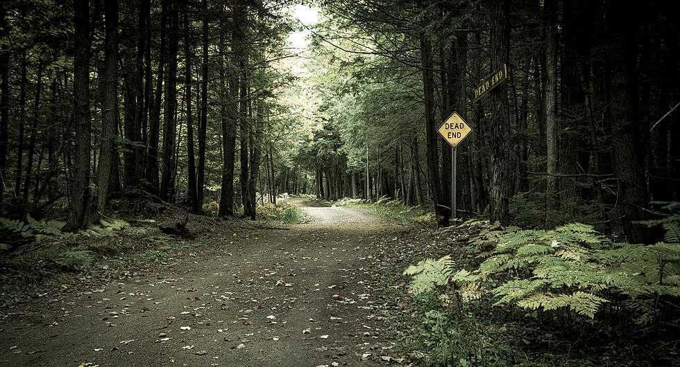 9 Hutan Paling Berhantu di Amerika Serikat, Jangan Masuk Sendirian!