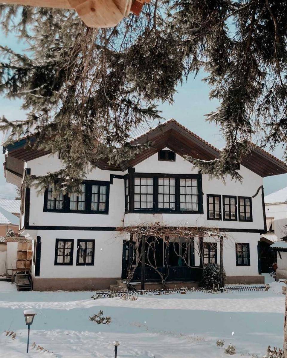 Museum of Ponišavlje (instagram.com/renesansna)