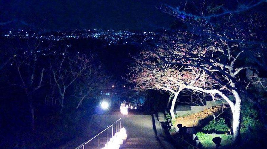 Taman Yaese (instagram.com/ys_pics)