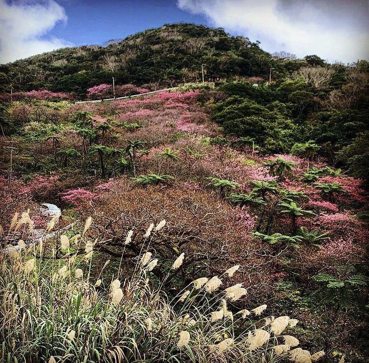 Gunung Yaedake (instagram.com/ryukyu_style)