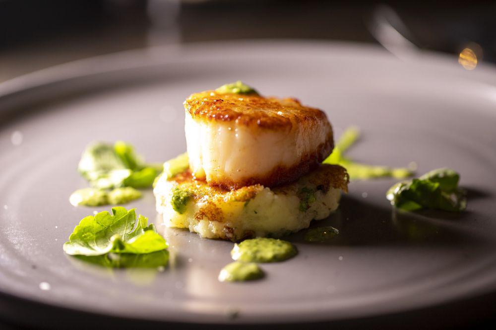 ilustrasi scallops with caper honey sauce (pixabay.com/adamlot)