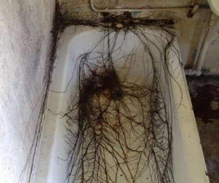 potret tanaman tumbuh di tempat tak biasa (reddit.com/malformalathy)