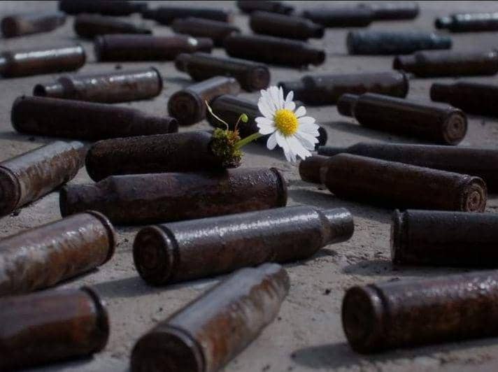 potret tanaman tumbuh di tempat tak biasa (reddit.com/markusgebauer)