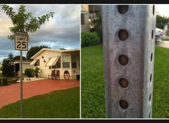 10 Foto Tanaman Tumbuh di Tempat Gak Biasa Ini Bikin Heran, kok Bisa?