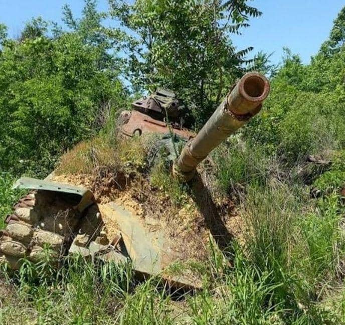 potret tanaman tumbuh di tempat tak biasa (reddit.com/eerieindiana)