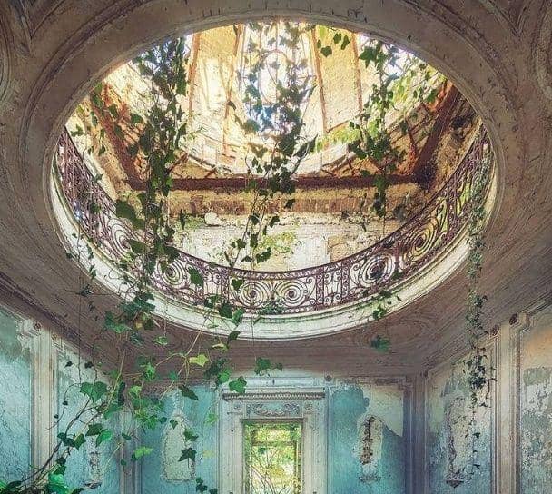 potret tanaman tumbuh di tempat tak biasa (instagram.com/svenfennema)