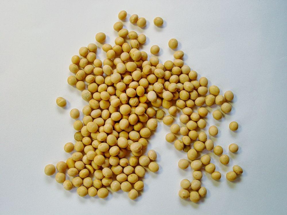 5 Sumber Makanan yang Mengandung Vitamin B7 atau Biotin