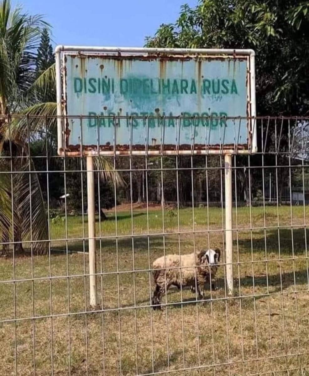 salah sebut nama (twitter.com/jowoshitpost)