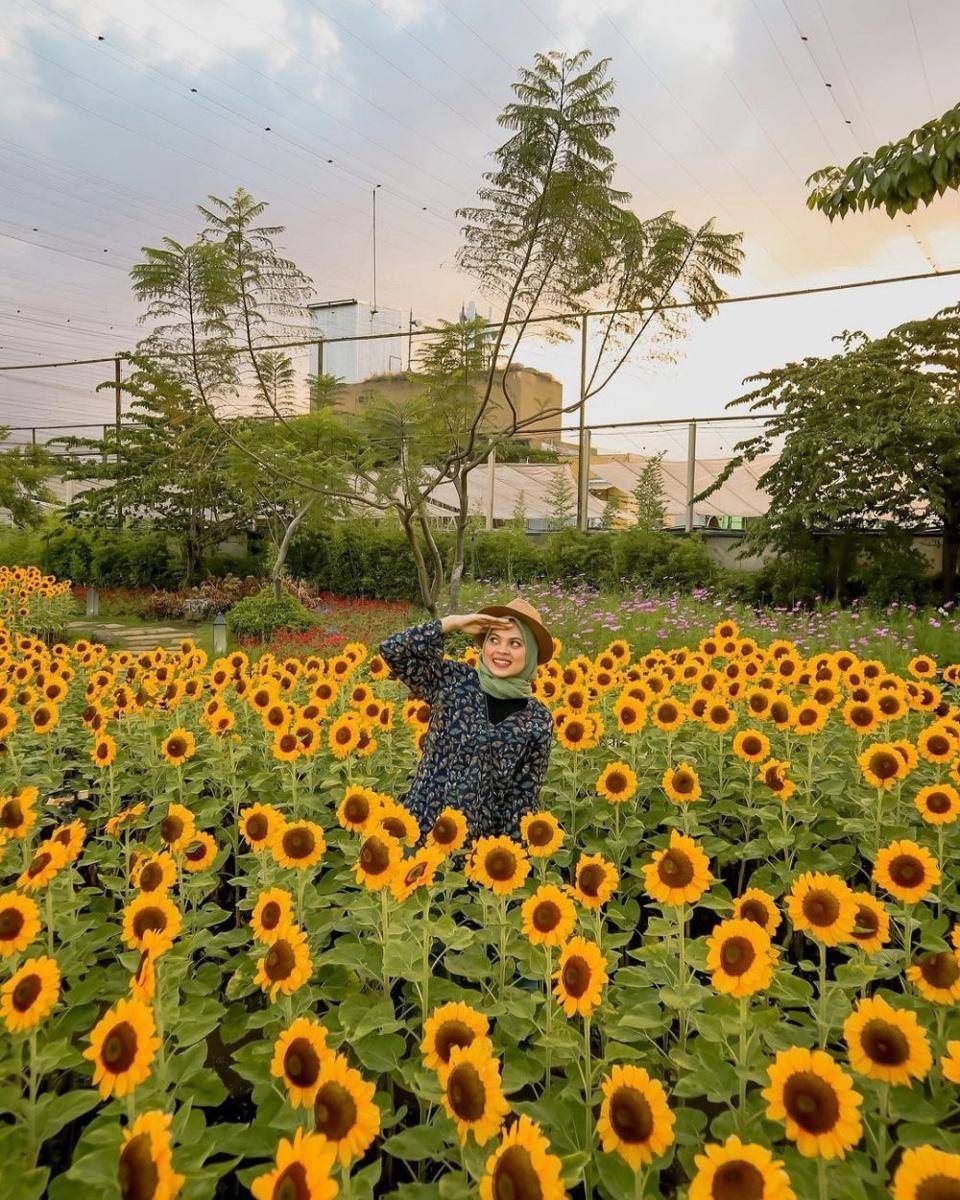Sky Garden (instagram.com/egisuandi)