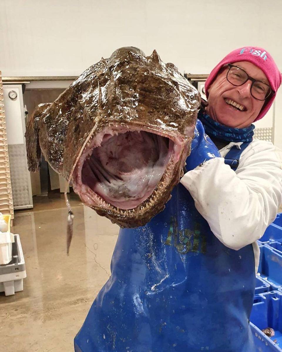 Monkfish (instagram.com/brightonfishsales)