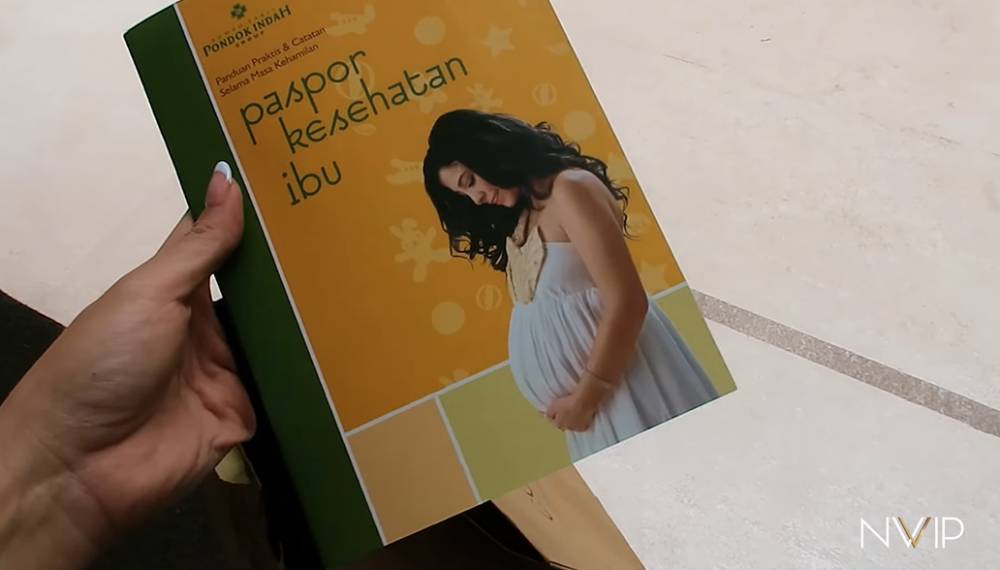 Nikita Willy USG (YouTube.com/Nikita Willy Official)