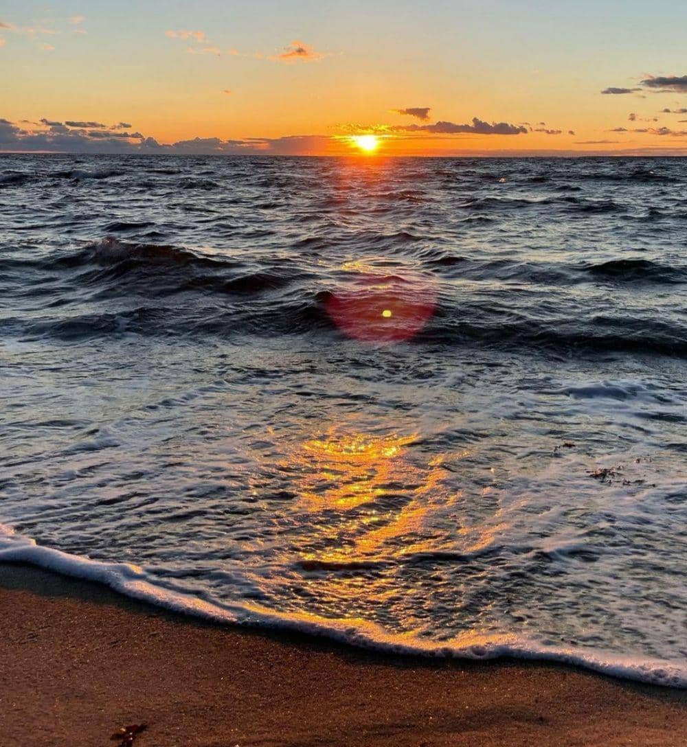 Cape Cod Beaches (instagram.com/macy.maree)