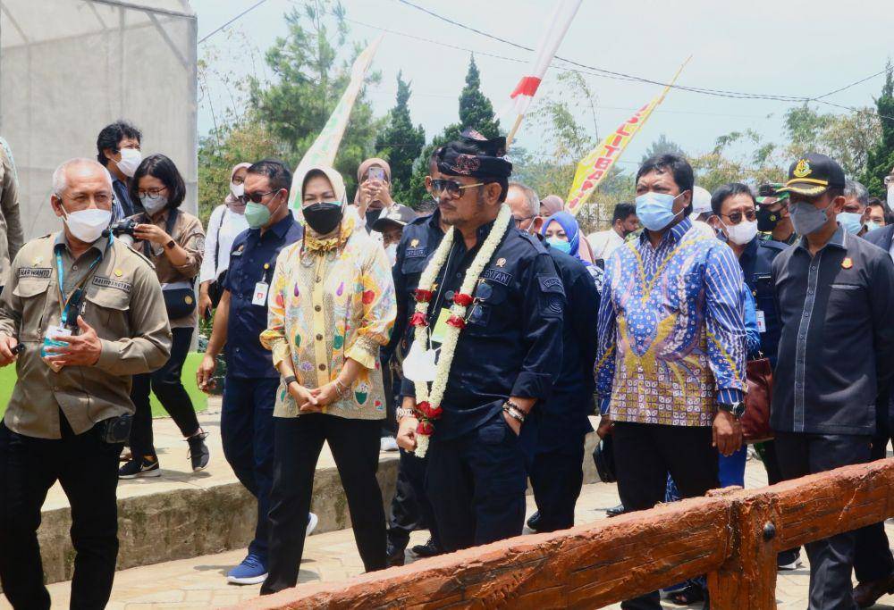 Mentan saat melihat langsung pengembangan buah jeruk di Balitjestro, Kota Batu. IDN Times/Alfi Ramadan