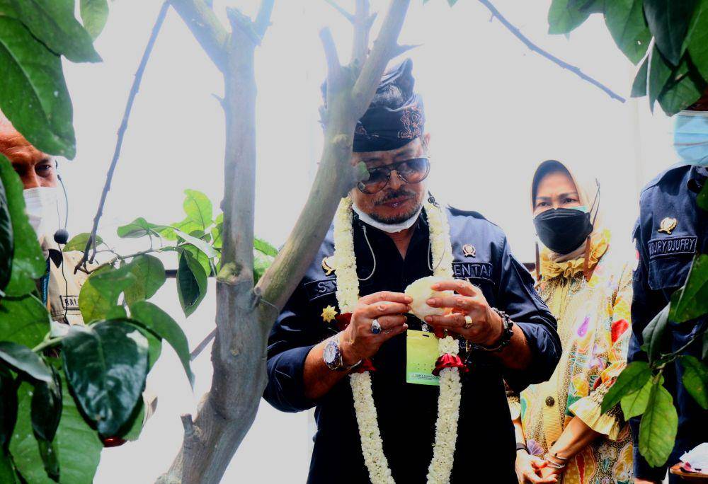 Mentan saat mencoba buah jeruk di Balitjestro. IDN Times/Alfi Ramadana