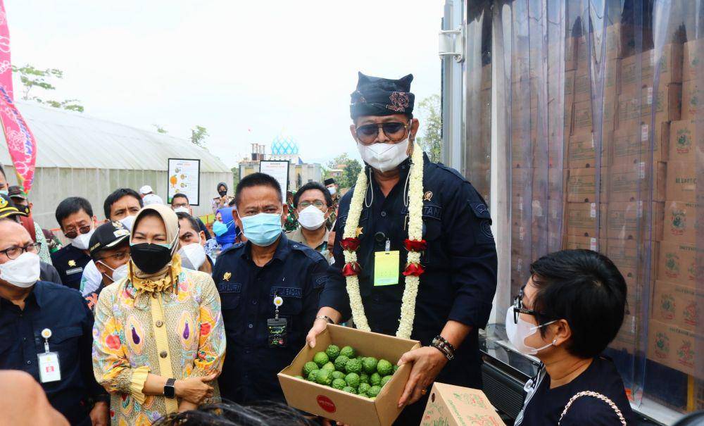 Mentan, Syahrul Yasin Limpo memperlihatkan jeruk purut yang akan dikirim ke Belanda dan Prancis. IDN Times/Alfi Ramadana