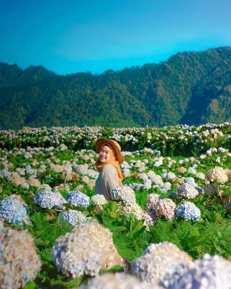 Kebun Bunga Cangar (instagram.com/alsiyulianaa.p)
