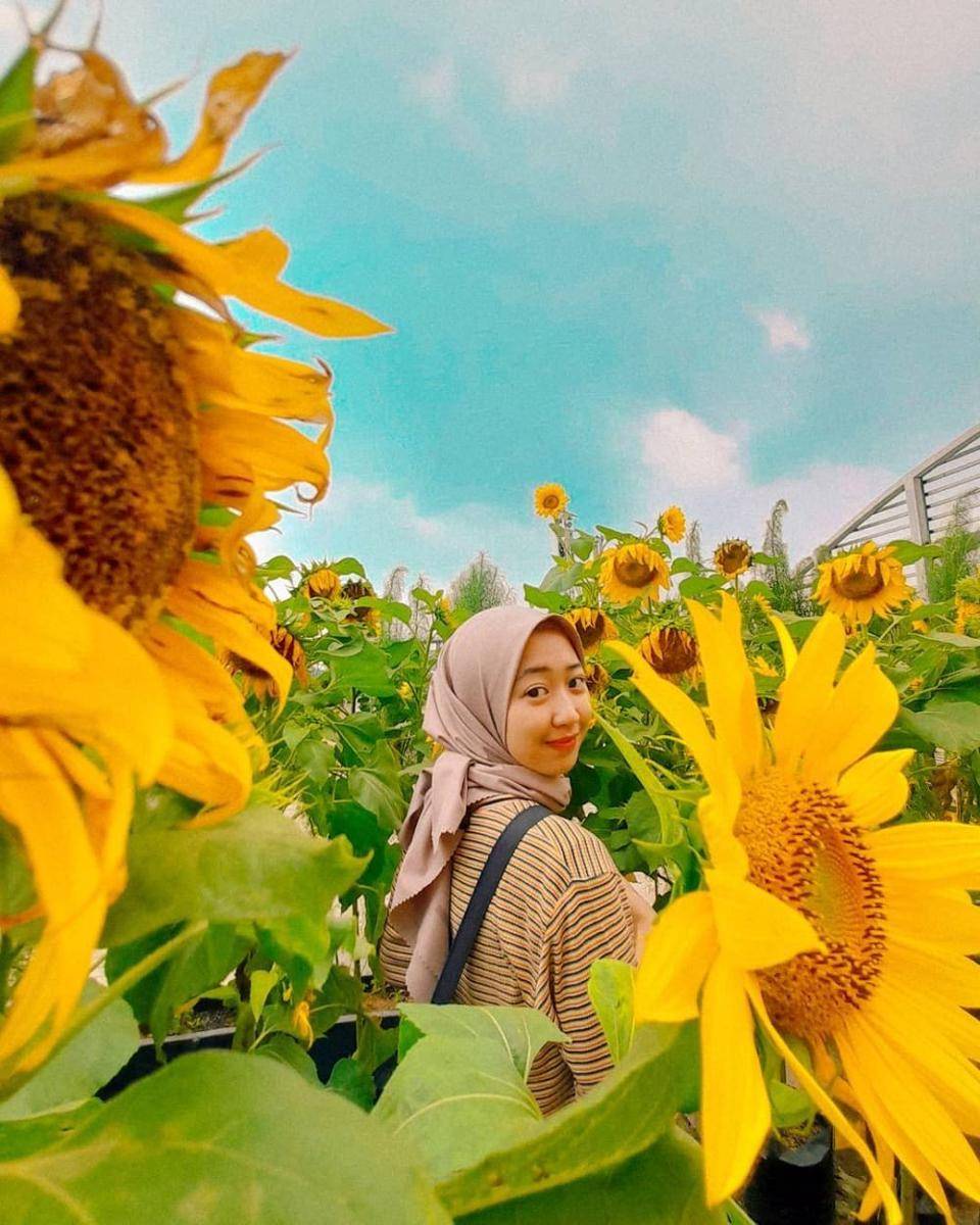Bogor Sky Garden (instagram.com/annisafachriah)