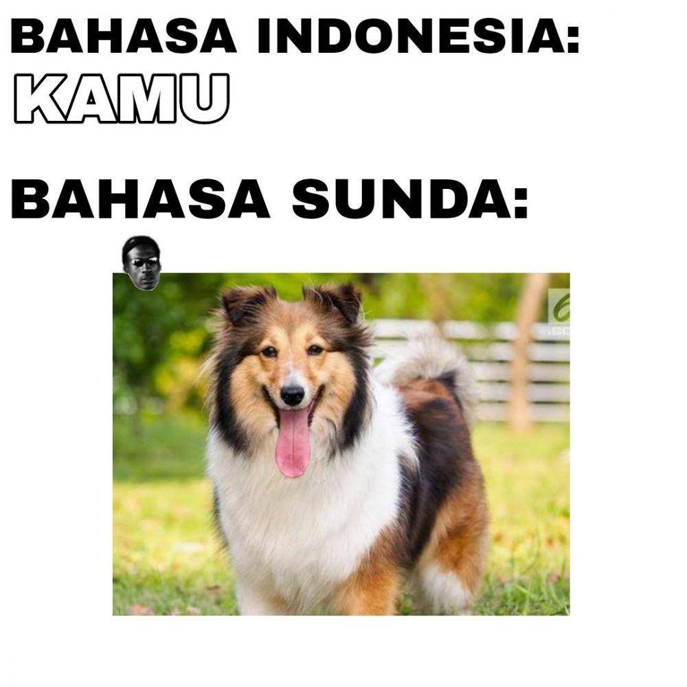 meme bahasa Sunda (twitter.com/sundastruggles)
