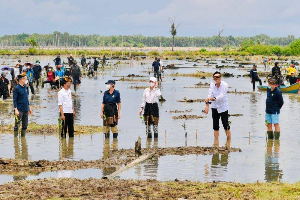 Presiden Jokowi Tanam Mangrove di Tana Tidung, Kalimantan Utara pada Selasa (19/10/2021). (dok. Biro Pers Kepresidenan)