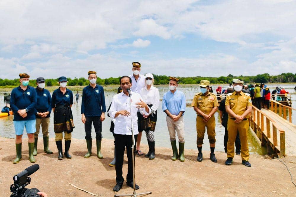 Presiden Jokowi Tanam Mangrove di Tana Tidung, Kalimantan Utara pada Selasa (19/10/2021). (dok. Biro Pers Kepresidenan)