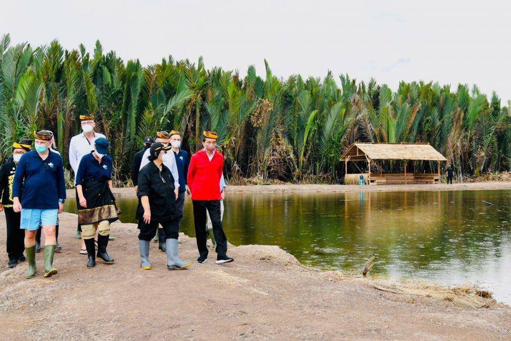 Presiden Jokowi Tanam Mangrove di Tana Tidung, Kalimantan Utara pada Selasa (19/10/2021). (dok. Biro Pers Kepresidenan)