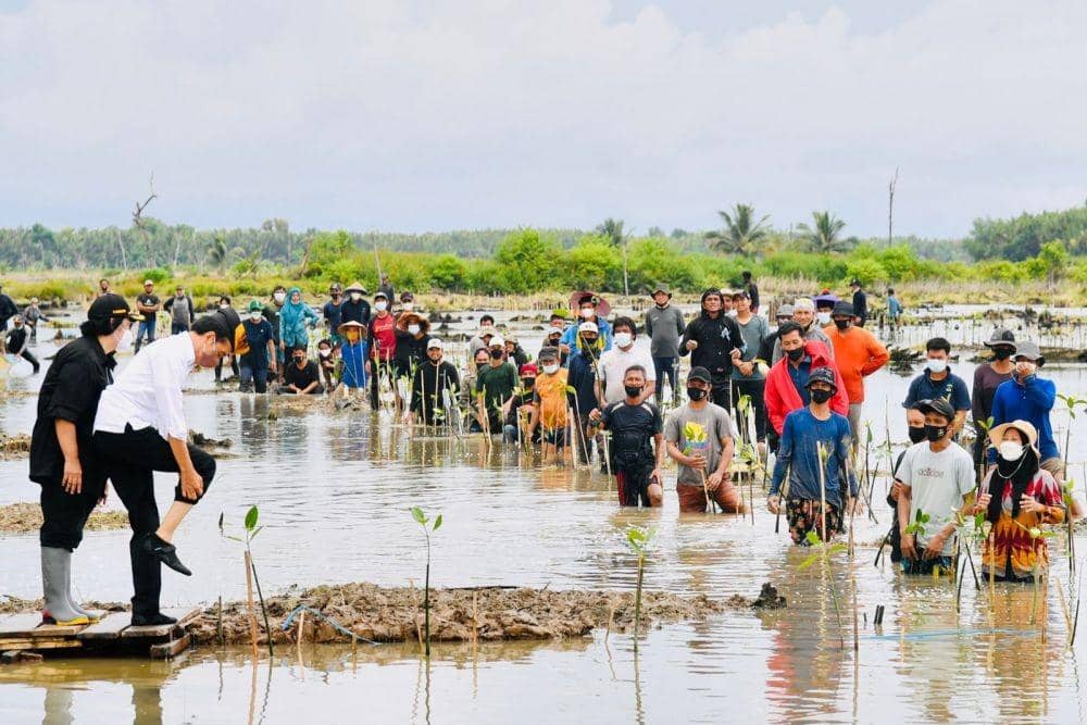 Presiden Jokowi Tanam Mangrove di Tana Tidung, Kalimantan Utara pada Selasa (19/10/2021). (dok. Biro Pers Kepresidenan)