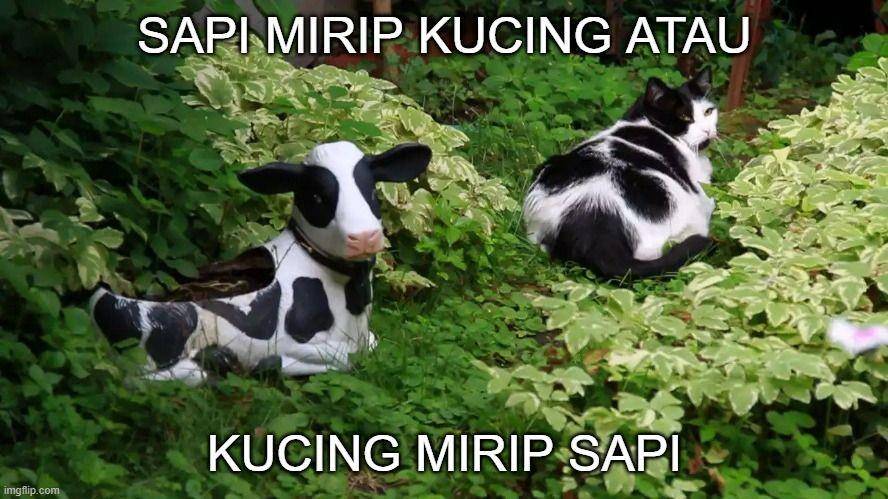 meme serupa tapi tak sama (twitter.com/ulat_bulu_bulu)