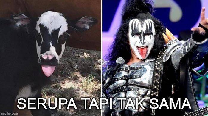 meme serupa tapi tak sama (boredpanda.com)