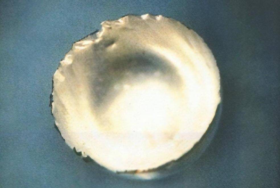 ilustrasi Fermium (wikimedia.org)