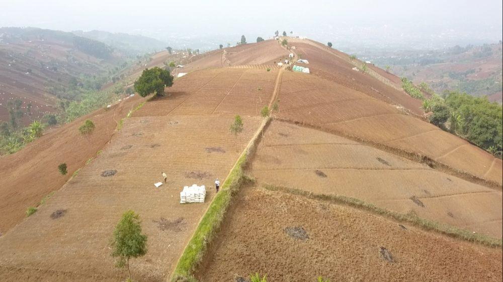 Lahan Pertanian Bandung Utara Kian Rusak, Pemerintah Disalahkan