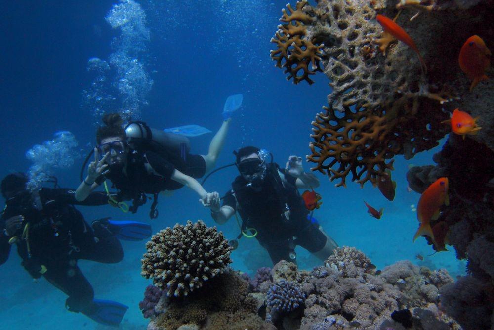7 Ikan ini Tinggal di Laut Dalam, Menyeramkan!
