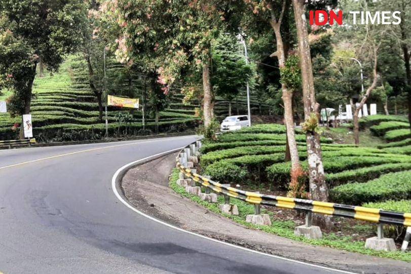 Ilustrasi Jalan Raya Puncak, Bogor. (IDN Times/Sunariyah)