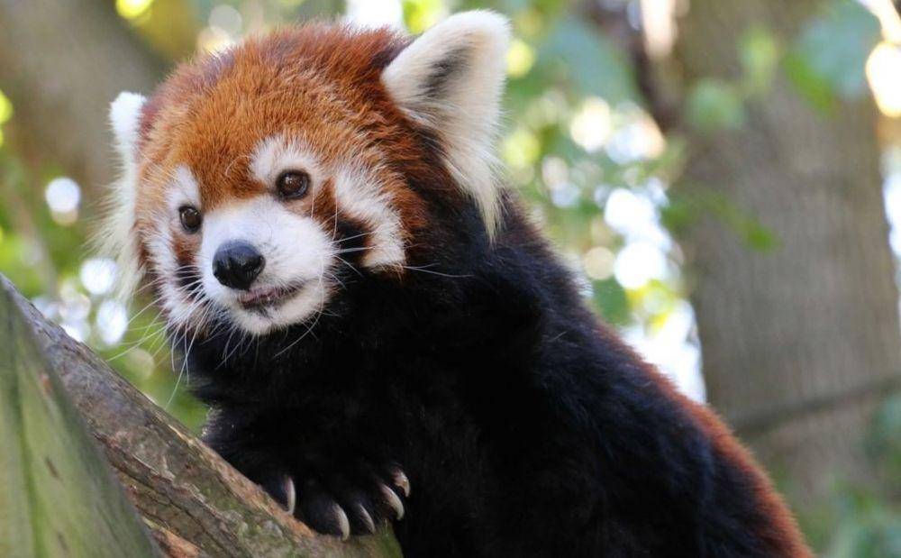 Roger Williams Park Zoo (instagram.com/rwpzoo)