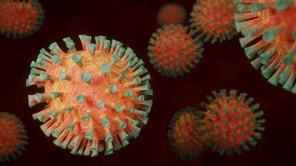 Ilustrasi virus COVID-19. (Pixabay.com/BlenderTimer)