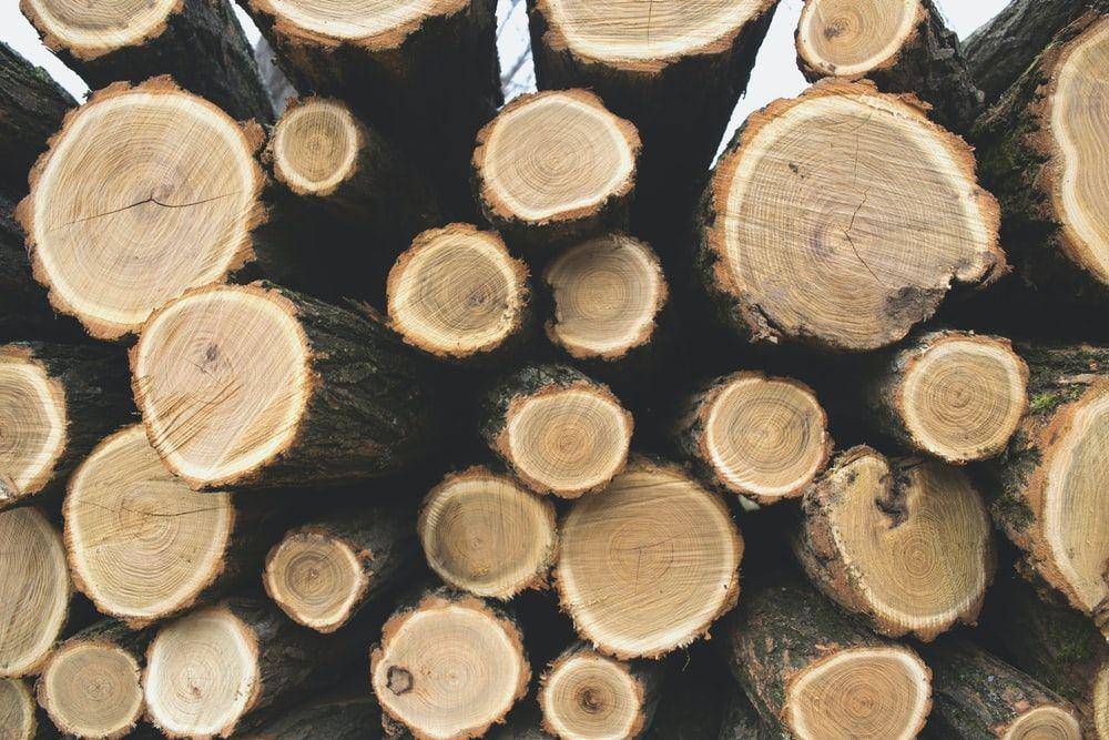 ilustrasi kayu (unsplash.com/aleksandar-radovanovic)