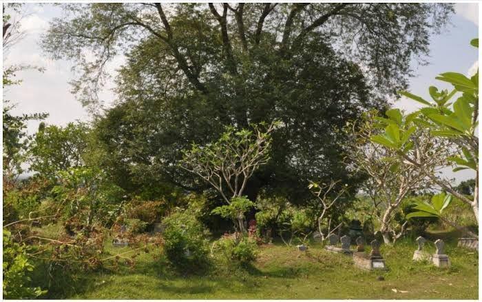 Lokasi penemuan keramik kuno di Dukuh Wadas Blora. (IDN Times/blorakab.go.id)