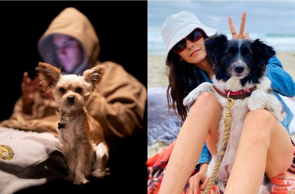 Justin Bieber dan anjing peliharaan (Instagram.com/justinbieber) | Nina Dobrev dan anjing peliharaan (Instagram.com/mrs.maverick)