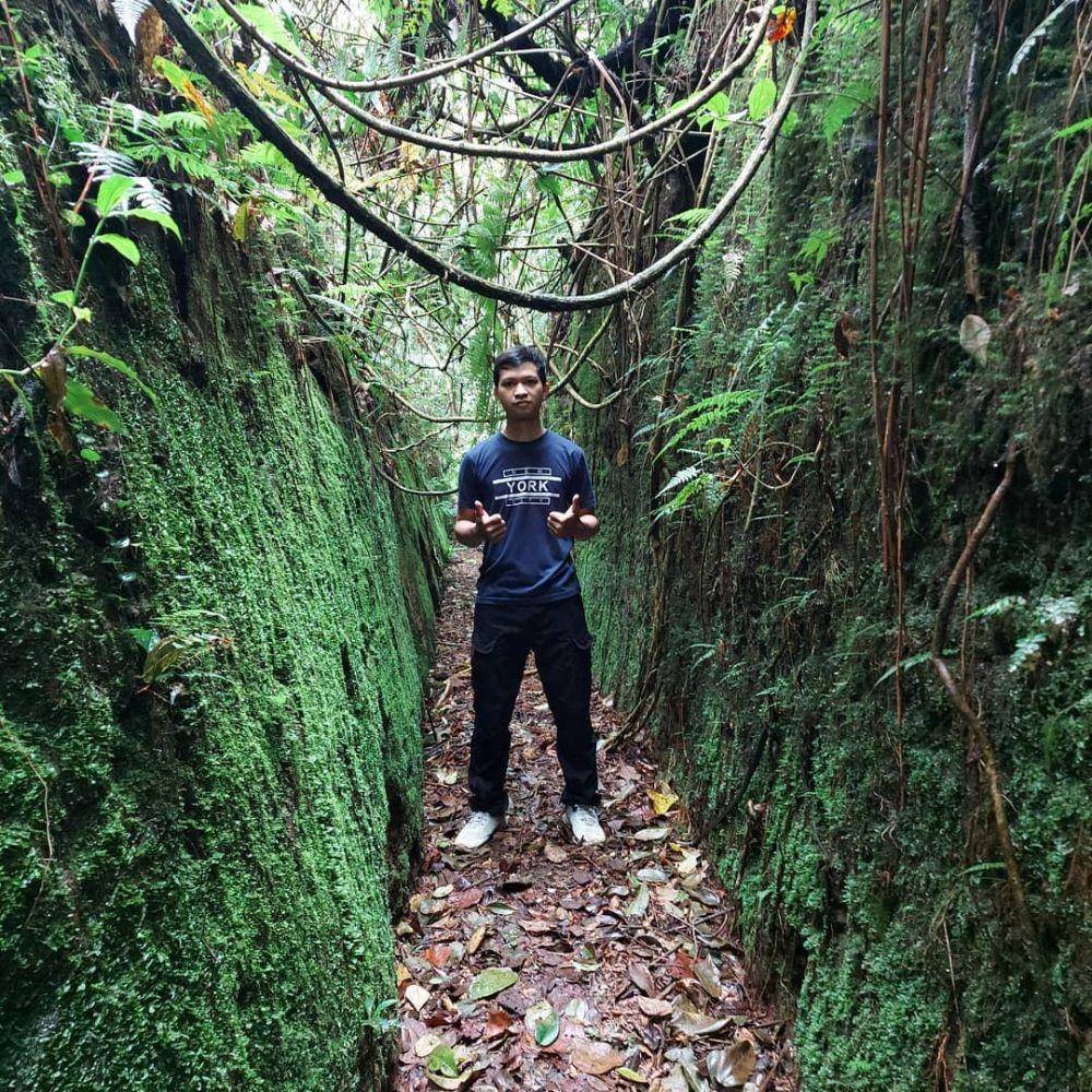 Wana Wisata Jayagiri, Bandung (instagram.com/ito_ryadi)
