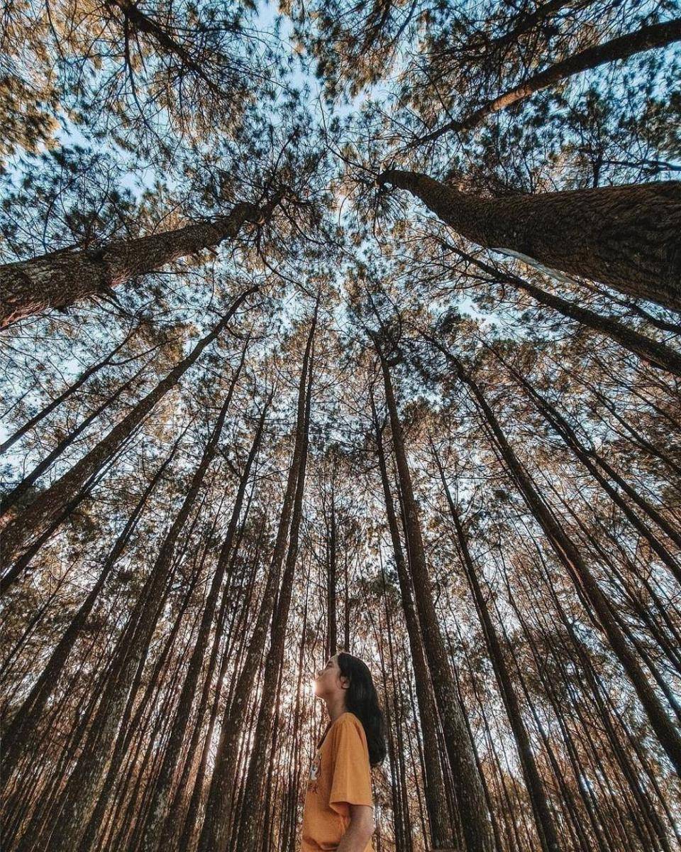 Bukit Moko, Bandung (instagram.com/cicifauziaa)
