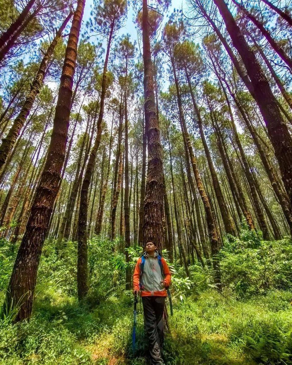 Gunung Burangrang (instagram.com/rhivin_geovan)